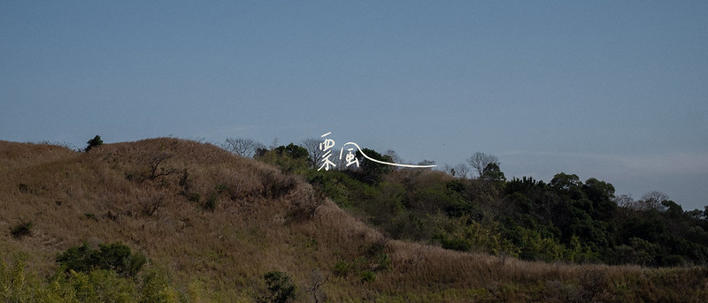 52772077358_8fe8a73136_c