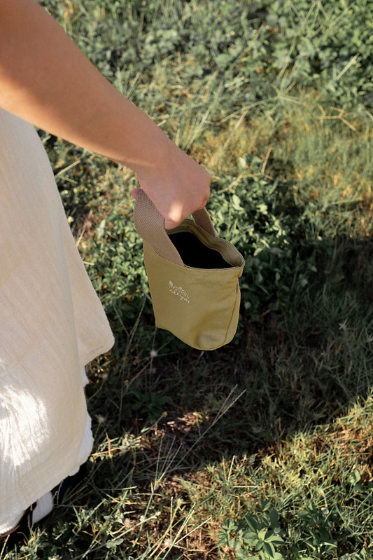 53971811152_d8e9f1b3f6_c