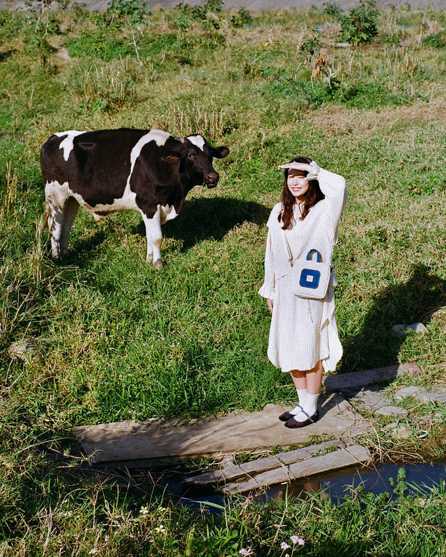 52771043297_de49803bce_c