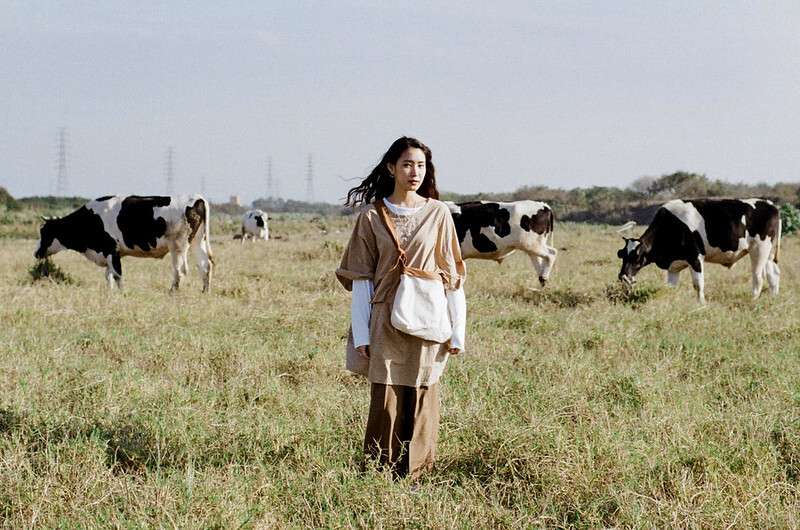 52771835404_fd69a764b4_c