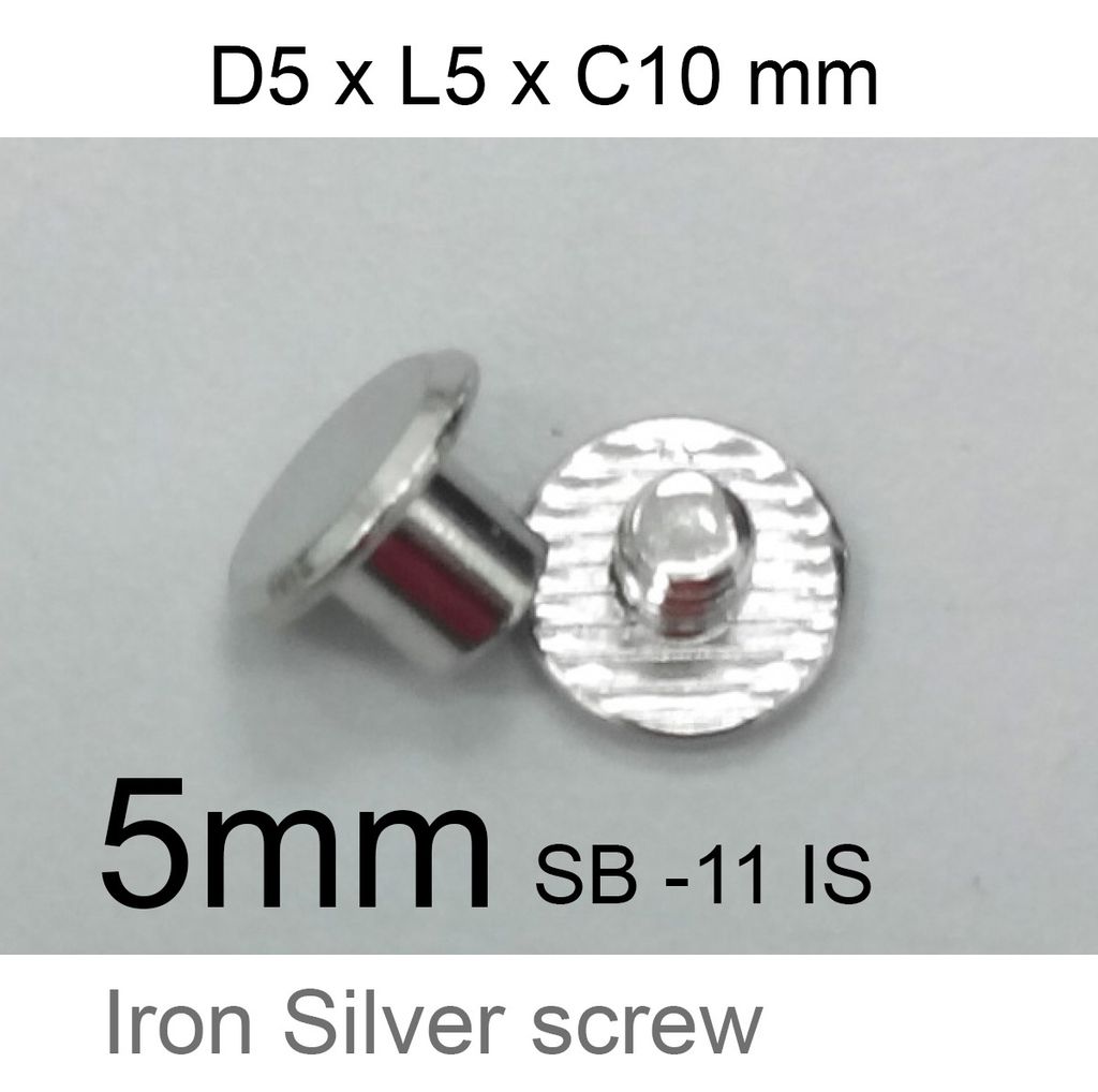 rmm iron silver screw .jpg