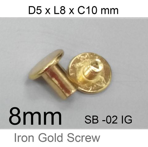 8mm iron gold screw.jpeg