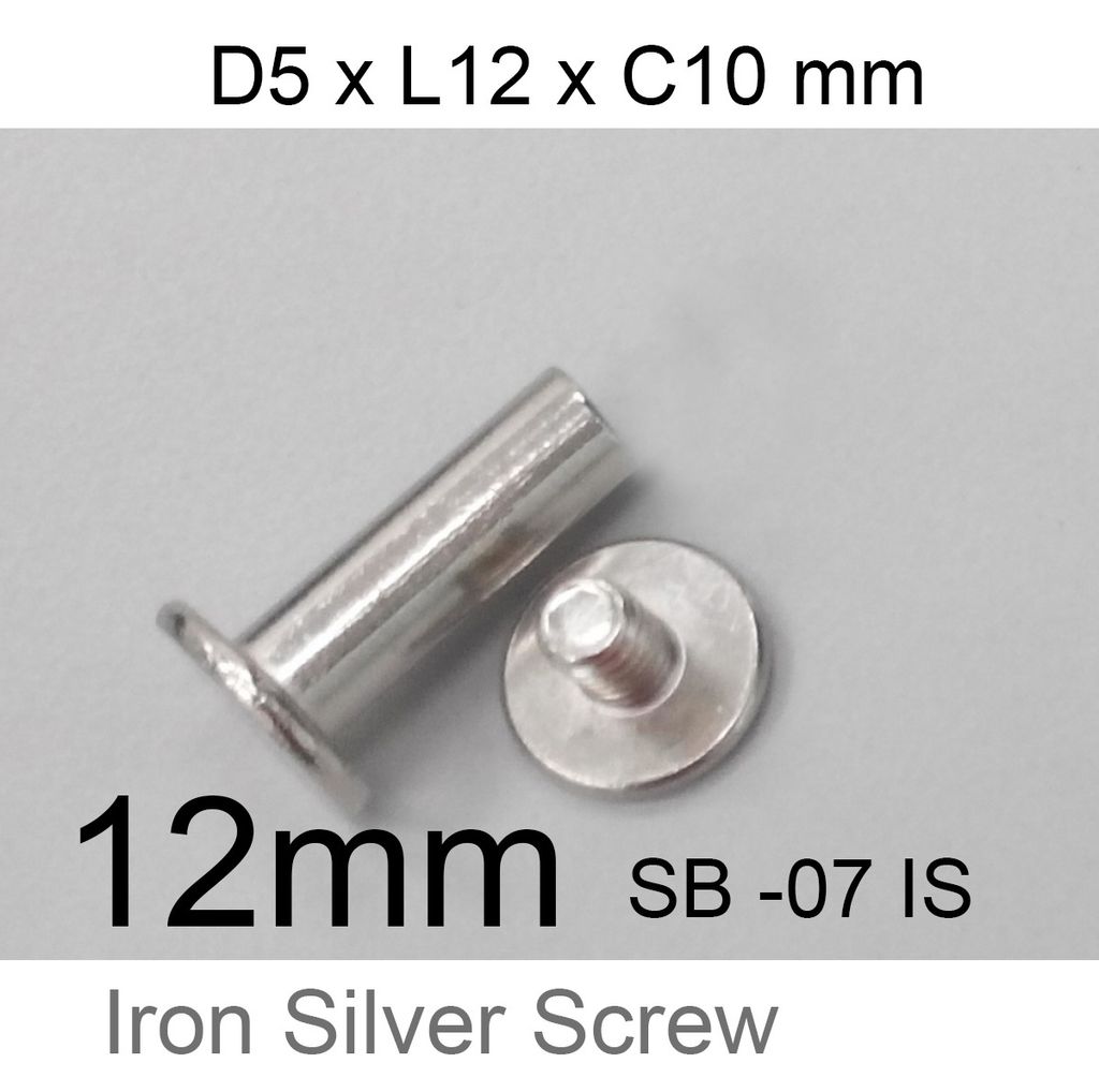 12mm silver iron screw.jpg