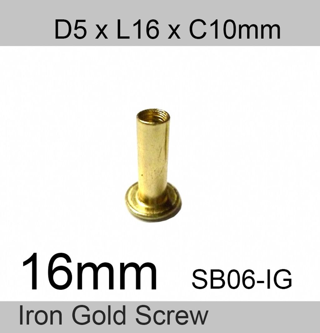 16 mm gold screw .jpeg