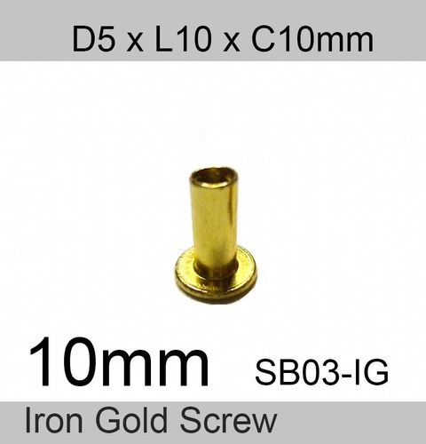 10 mm gold screw .jpeg