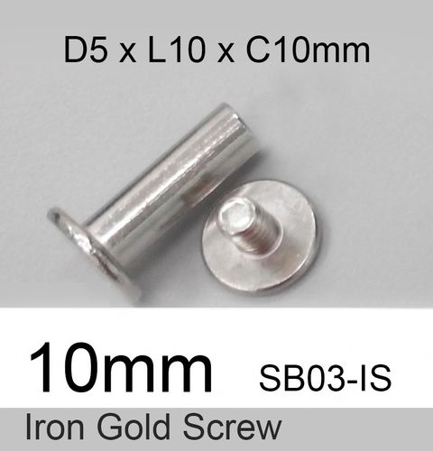 10mm silver screw.jpg