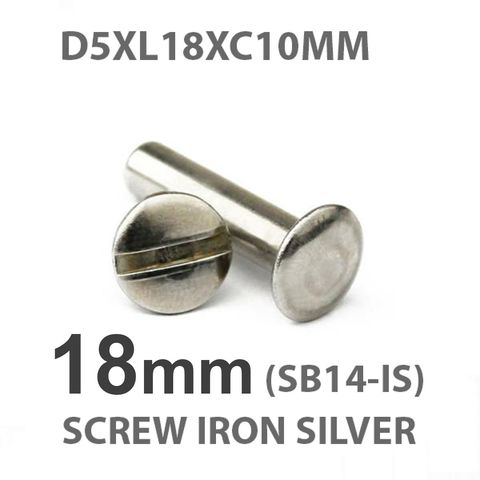 18mm silver screw.jpeg