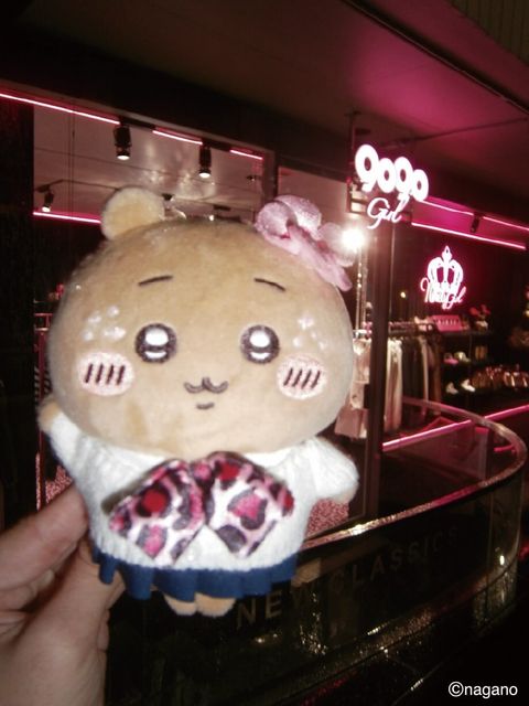 image_453615D8-045E-4FA6-B95B-3EE31D4B159E_1773303911