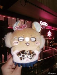 image_2F235E23-898C-4057-BB98-5258C2F233EC_1773303911