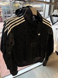 image_F6300BAE-B949-450F-B9D2-421C5805B258_1773558507