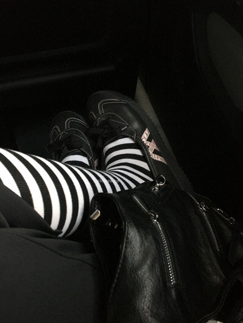 image_DFD25F9C-0437-4717-BCFF-D1A6DC592179_1774469112