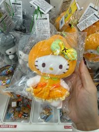 image_C5A9DAB9-40A8-4C7C-8494-DFFBBDD33B95_1785830989