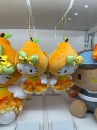 image_A0B88395-799B-4278-BA80-B03CF8DBEA47_1785830989