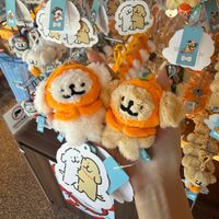 image_9786CB00-41E8-41AC-9796-DD1E7EEE42F4_1785837748