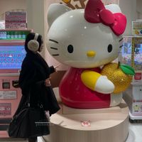 image_6E8AC2BC-6ECB-41C1-95DF-F4BFDA952006_1749913641