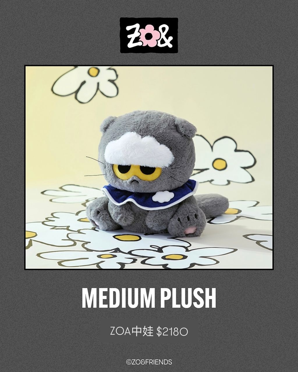 image_4AADDC24-CA41-4C48-8B45-7282866B6FA7_1754432205