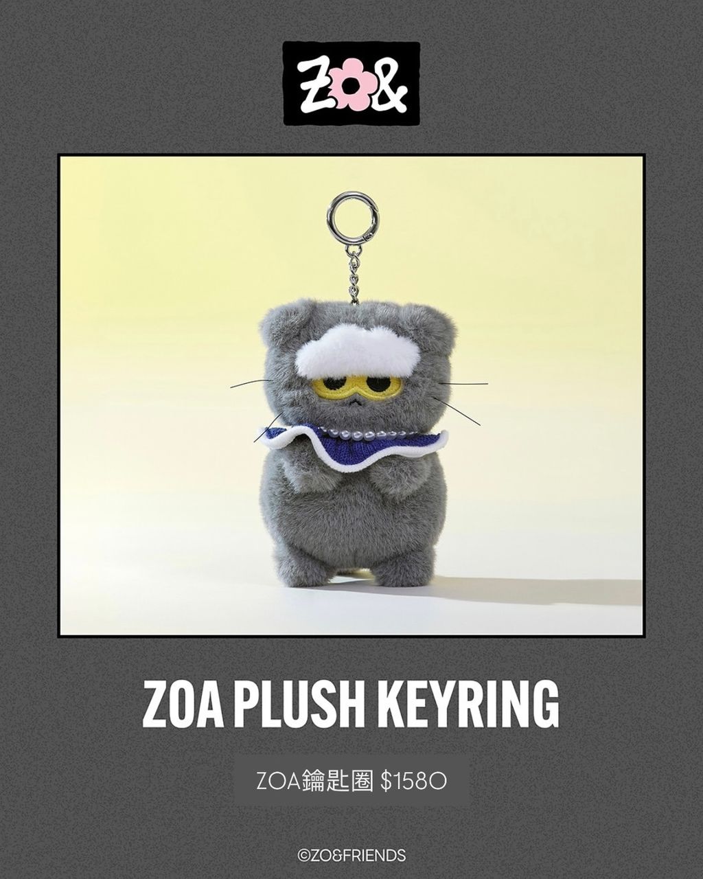 image_9B9D5788-B364-48A4-B787-3C42EDF24FA9_1754432205