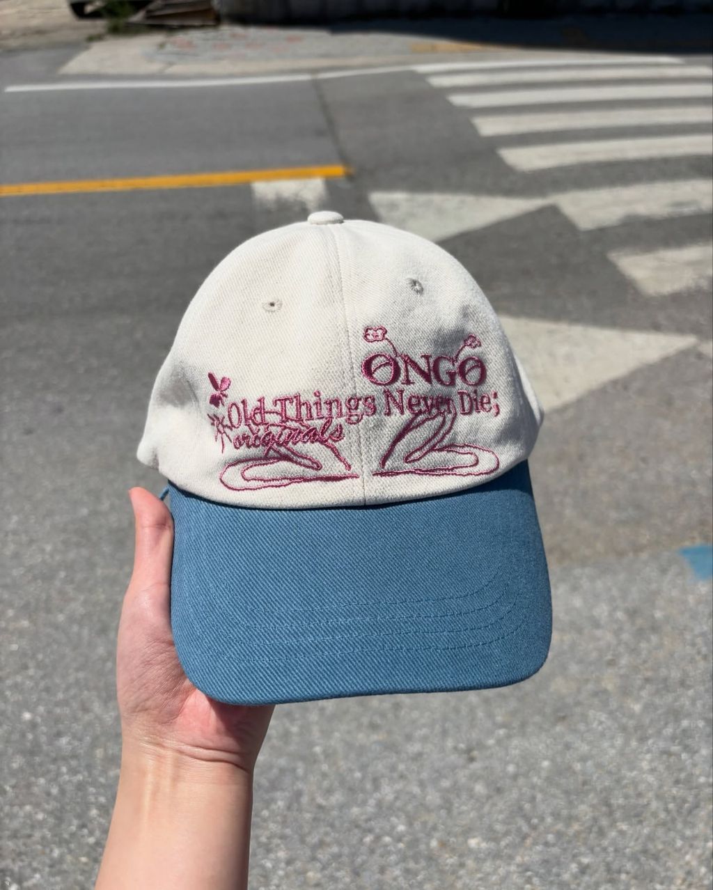 image_E2E3D6BE-2DFF-4476-8604-D1BAF0275F7F_1755681195