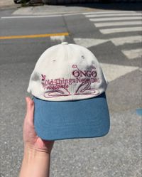 image_E2E3D6BE-2DFF-4476-8604-D1BAF0275F7F_1755681195