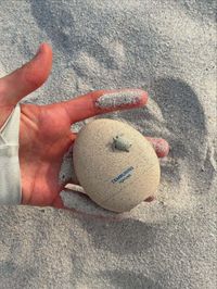 image_FB841B31-5DF4-437B-A1F7-05179048D14E_1759416306