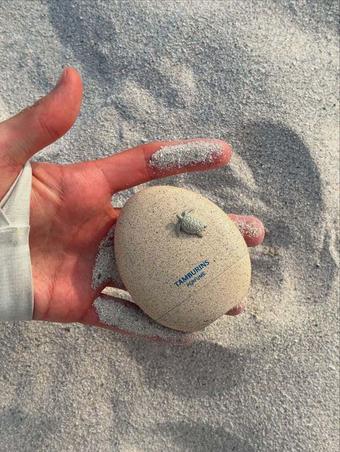 image_FB841B31-5DF4-437B-A1F7-05179048D14E_1759416306