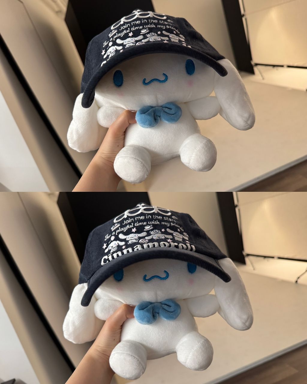 image_8A8A19B8-DA9E-4637-AFCA-721E440AA803_1760523436