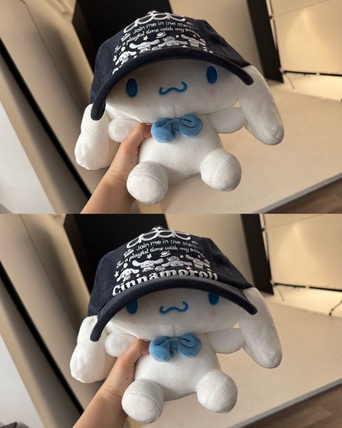 image_8A8A19B8-DA9E-4637-AFCA-721E440AA803_1760523436