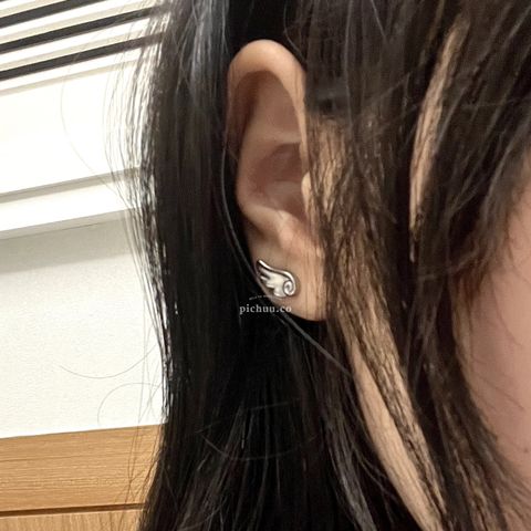 image_4E940B90-CBA8-4556-9B23-2D431B3B9611_1760927510