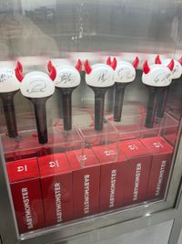 image_0A4D8167-08CF-44F5-98FF-06709ED10F69_1763283974