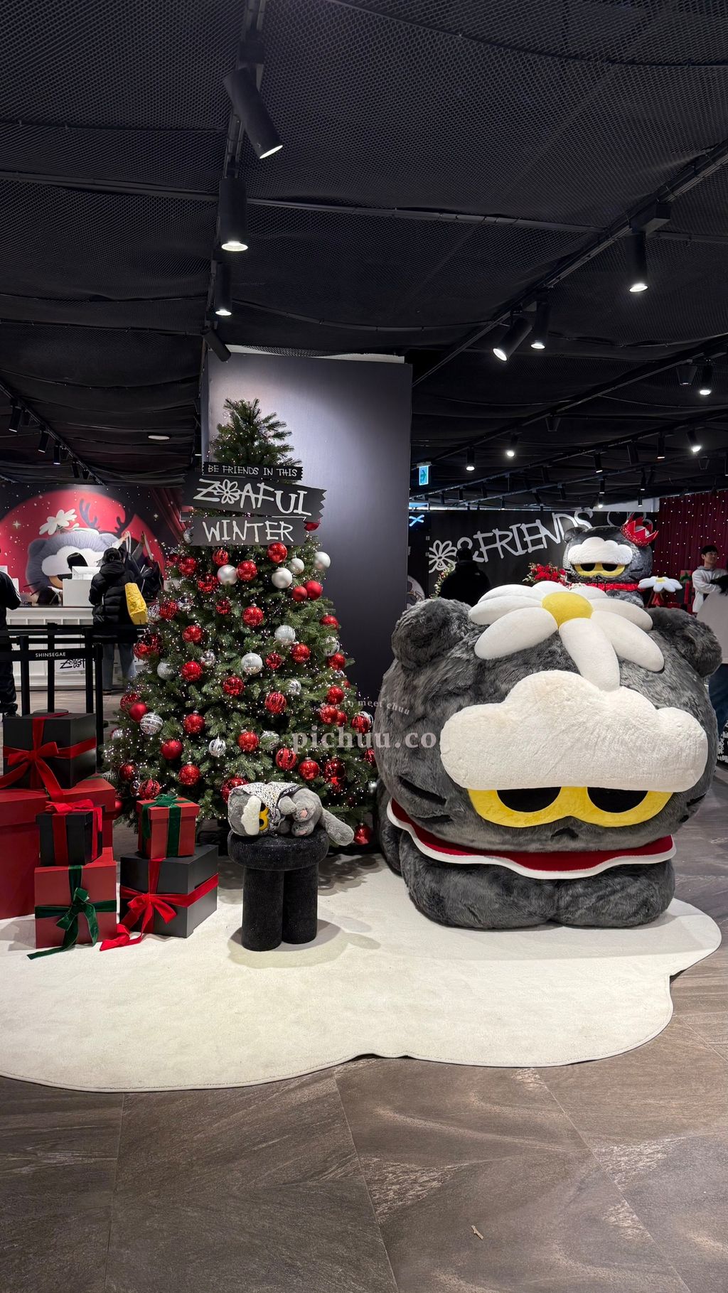 image_84B9CD96-BA44-42ED-8688-E5E36CD26E04_1766139032