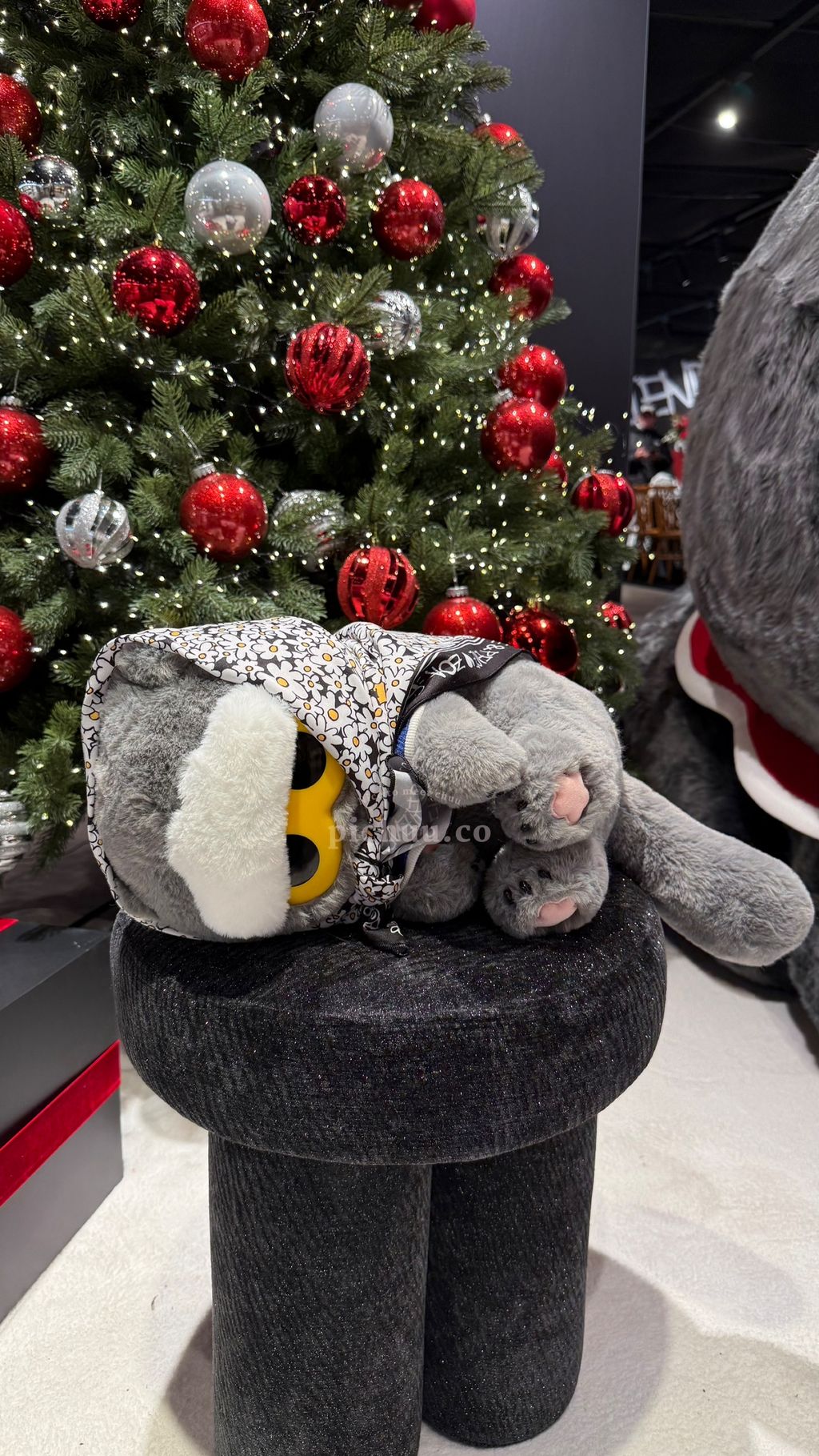 image_5D41AB0C-E7F1-44CE-ADB8-C73F0008159B_1766139045