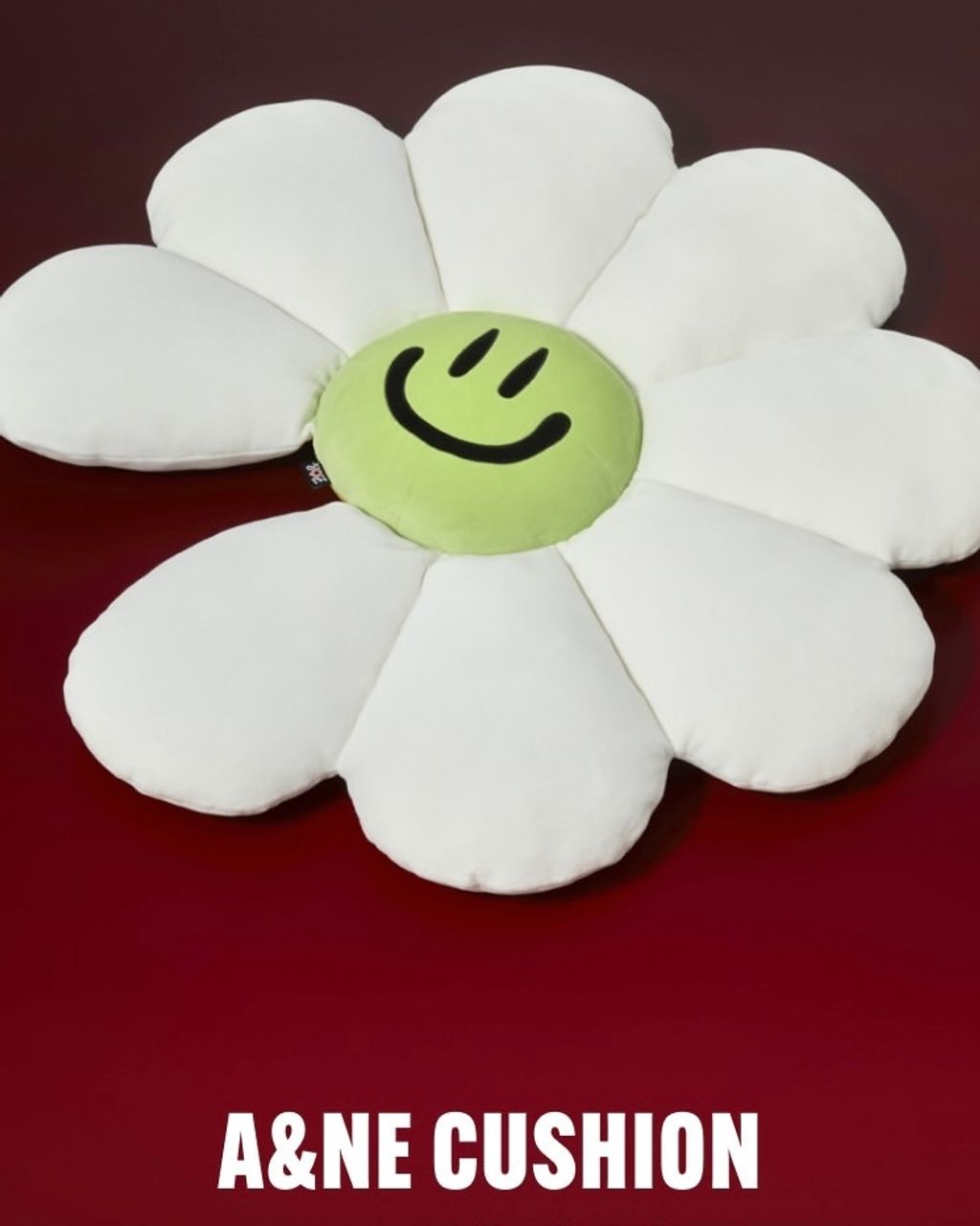 image_DF692EEE-E7D2-49DB-A825-D76601242FF0_1766139075