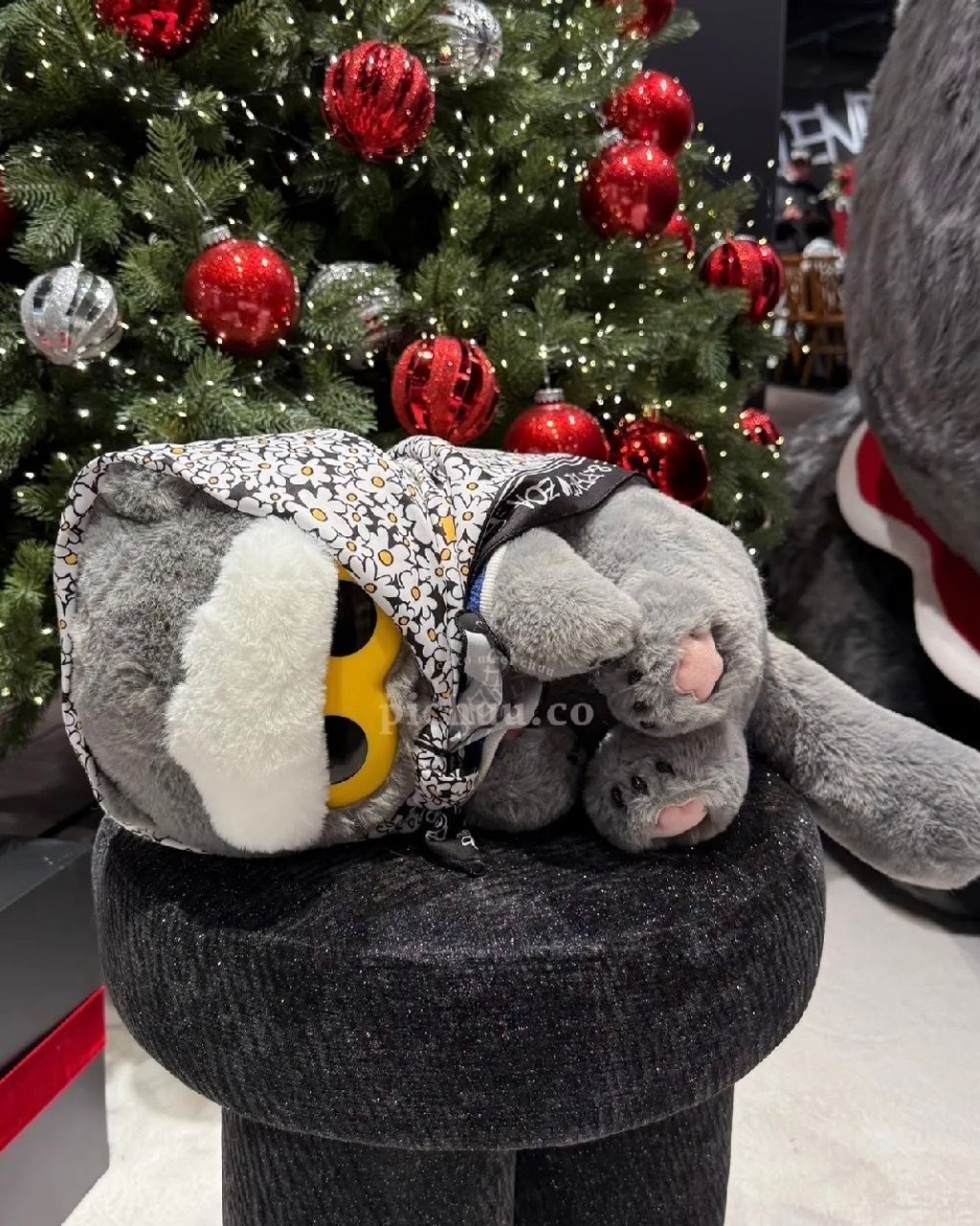 image_5B297F62-F61C-4F6E-88BC-184327BDEB54_1767333835