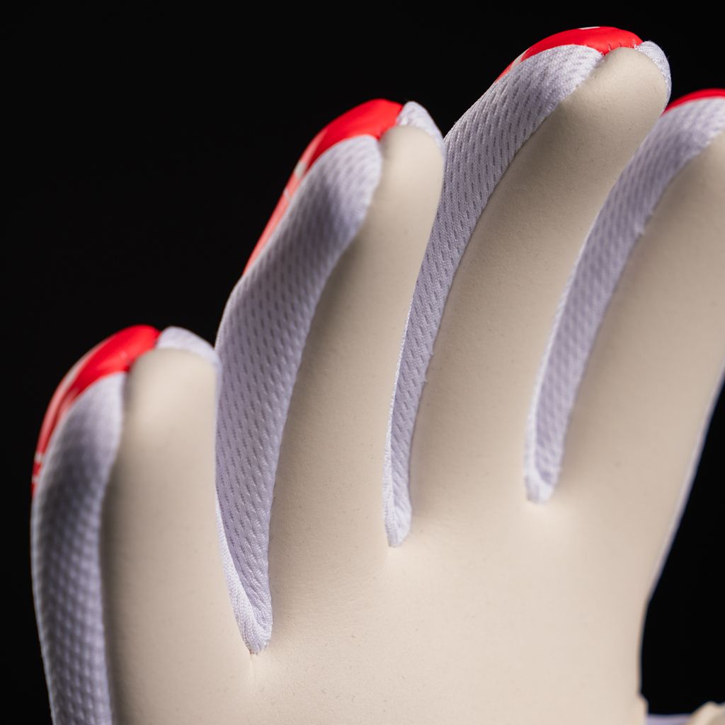 image_FC851966-77BD-4BF3-8FD0-6722F1A3F4B7_1751208182