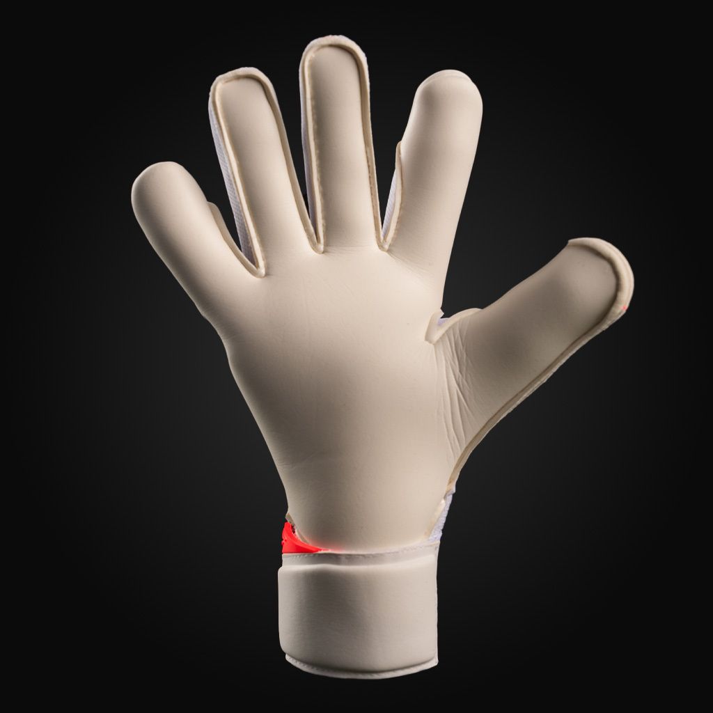 image_E7049DE8-3D94-41CA-A84C-972C69E1ACAD_1751208035
