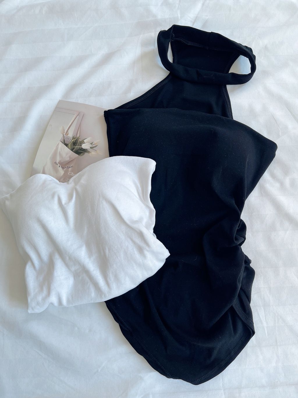 image_2613FCA7-54E4-4739-8ED8-1F9909DD27B6_1766325346