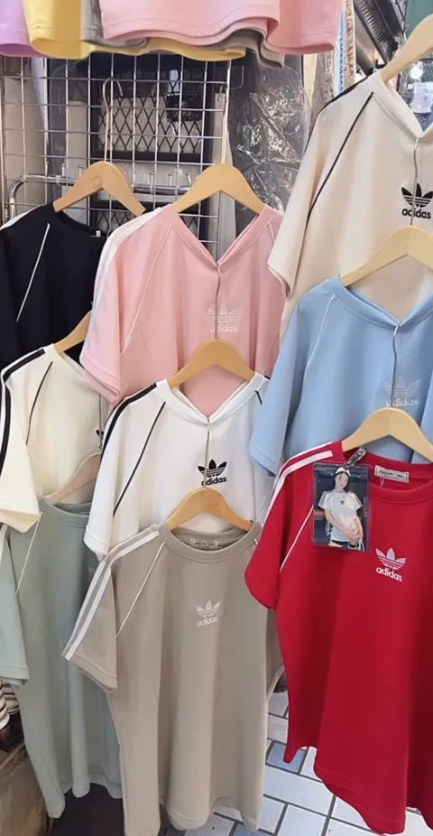 image_DD09DEA8-11F1-4DEA-8BE8-FD3BB4273CBB_1763994806