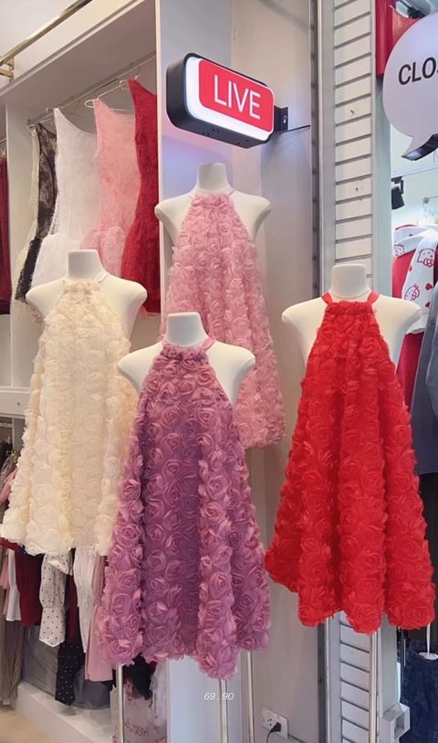 image_67C505E9-6592-4687-8B34-D899E20A1531_1767437281