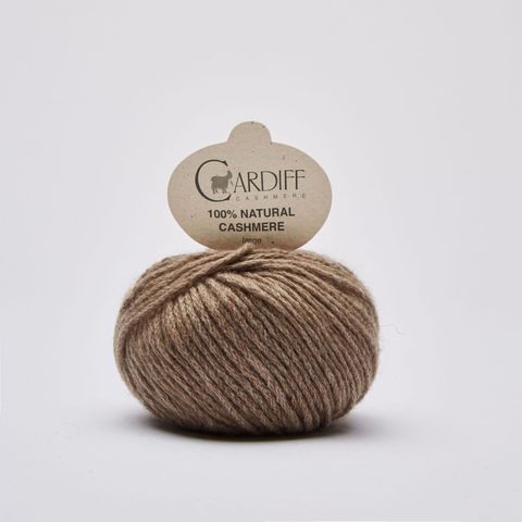 LARGE_511_BROWN_0385