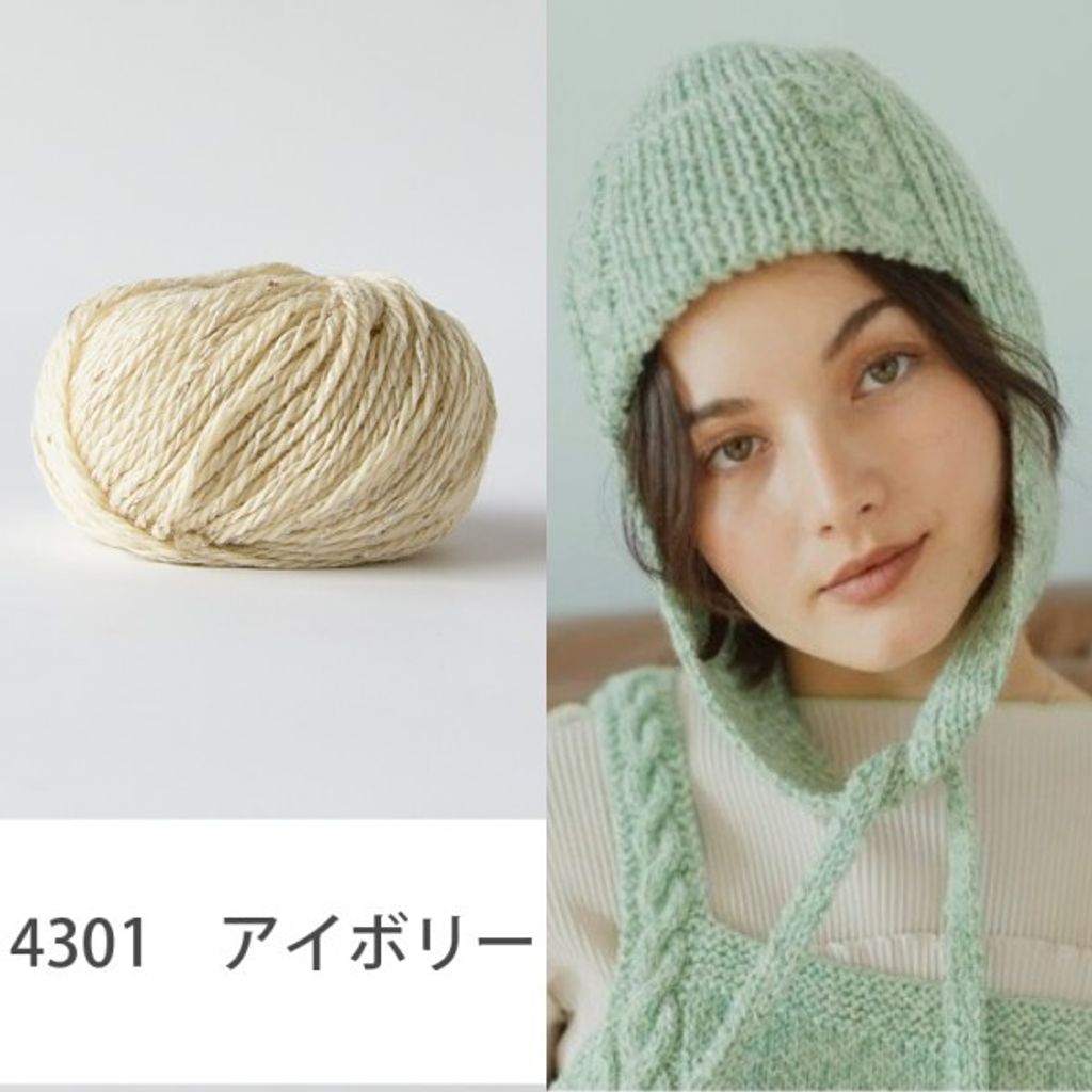4301-h