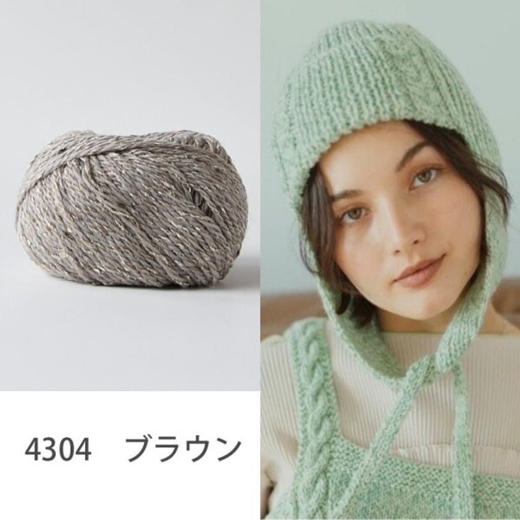 4304-h