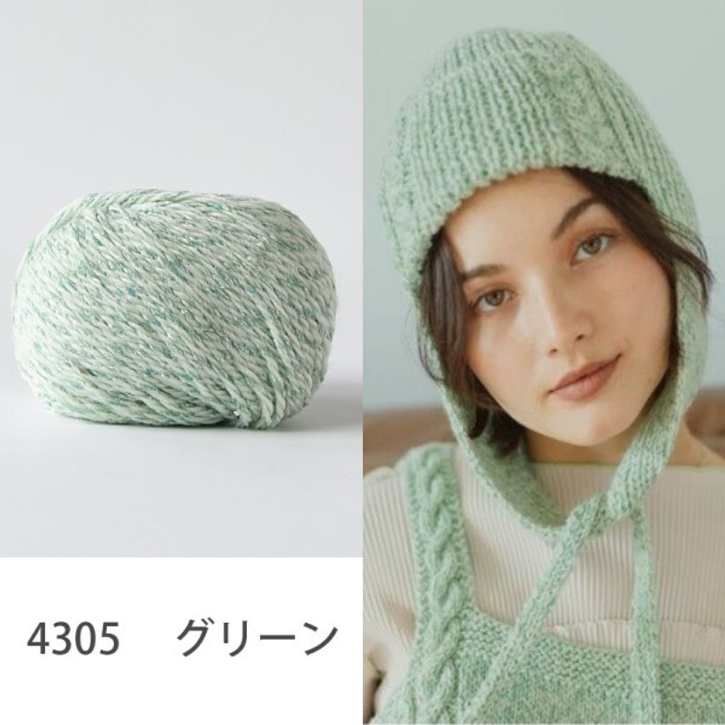 4305-h