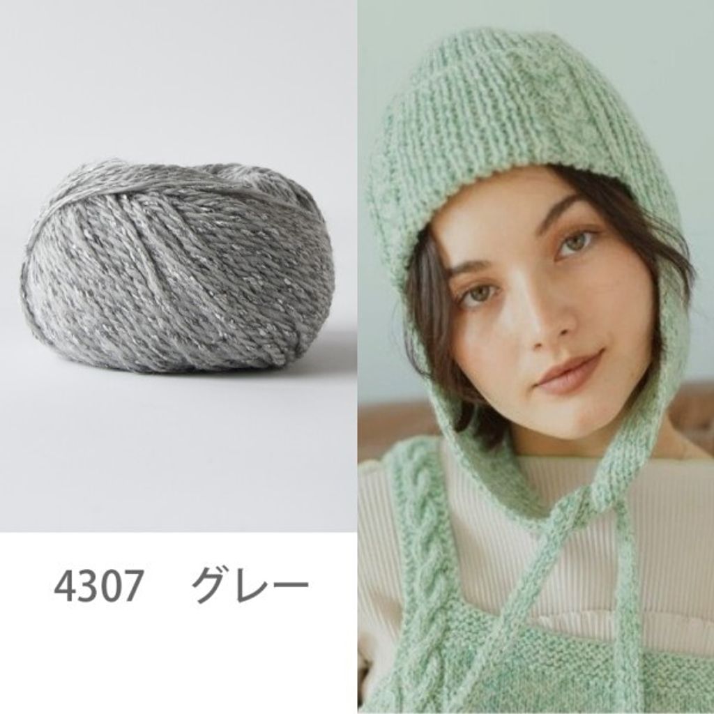 4307-h
