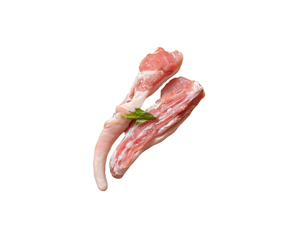 猪尾巴