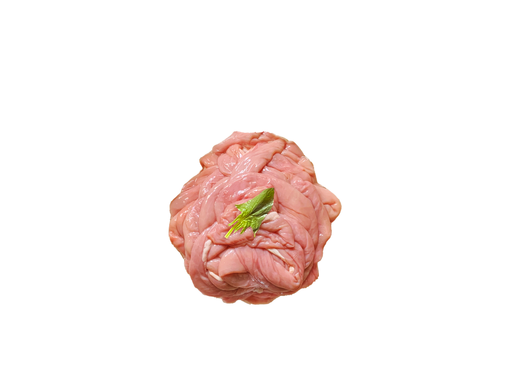 小肠