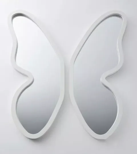 butterfly mirror