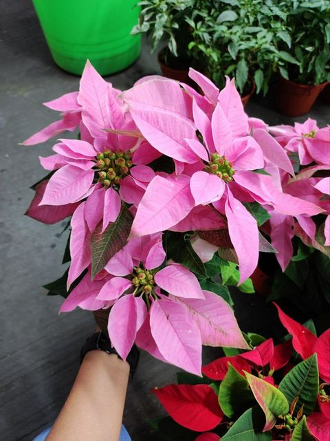 photo1667560694