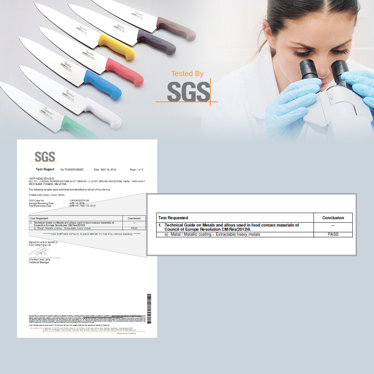 BKG SGS_Chef Knife_FA