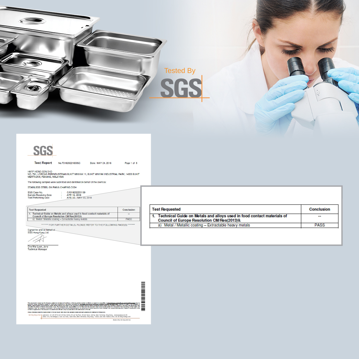 BGK SGS_GN Pan_FA