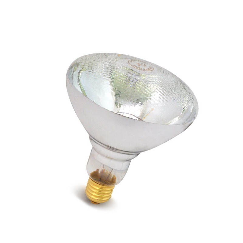 CHN-LAMP-016_1